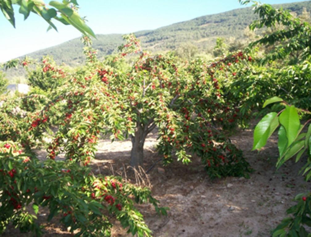 Barrado Las Calabazas חדר תמונה